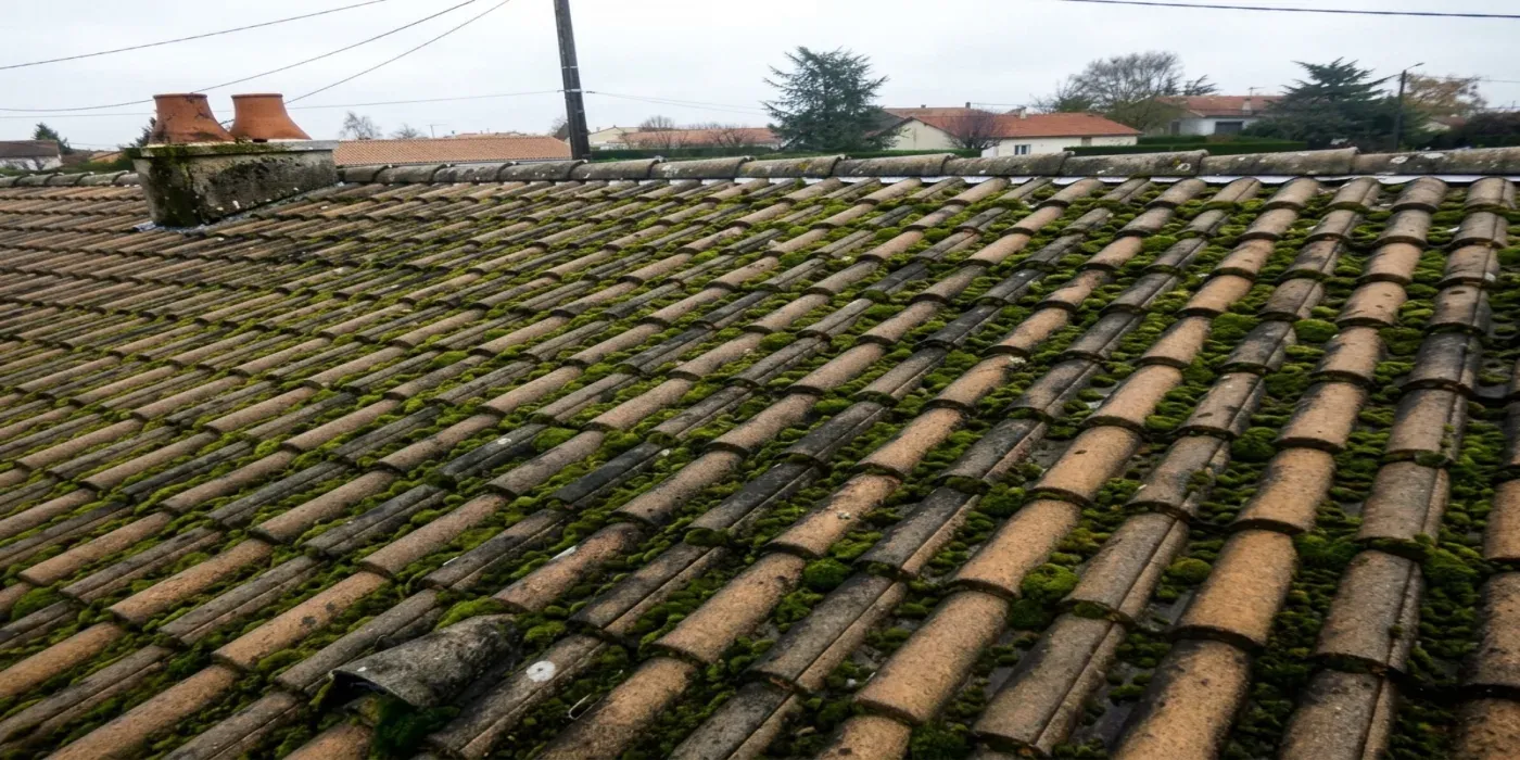 Nettoyage de toiture dans l'Indre-et-Loire — avant (chantier 1) Nettoyage de toiture dans l'Indre-et-Loire — avant (chantier 1)