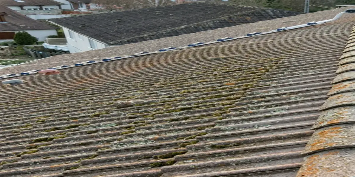 Nettoyage de toiture dans l'Indre-et-Loire — avant (chantier 3) Nettoyage de toiture dans l'Indre-et-Loire — avant (chantier 3)