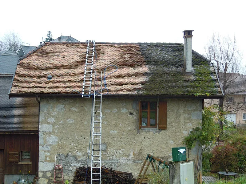 Démoussage de toiture dans l'Indre-et-Loire Démoussage de toiture dans l'Indre-et-Loire