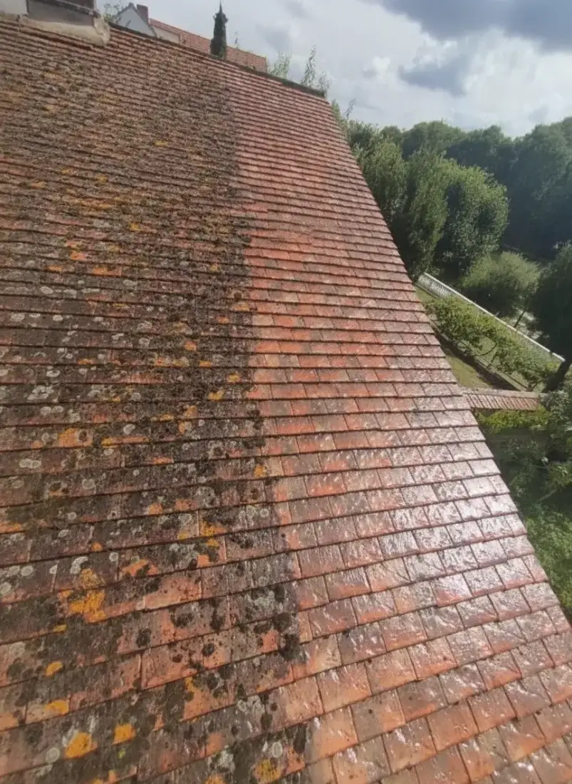 Entretien de toiture dans l'Indre-et-Loire Entretien de toiture dans l'Indre-et-Loire